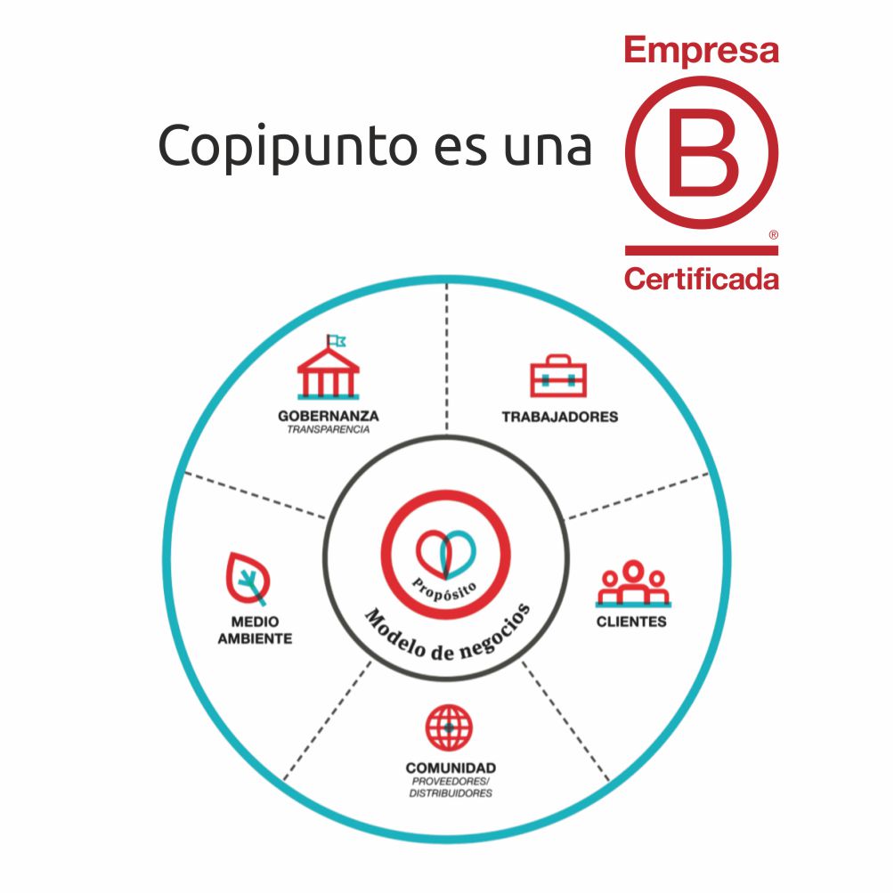 Copipunto Empresa B