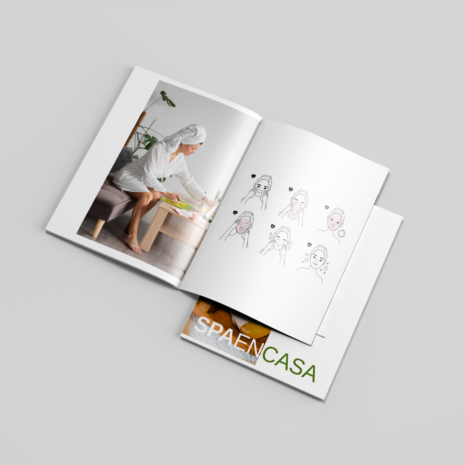 Revistas